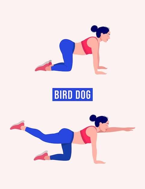 The Bird-Dog Exercise